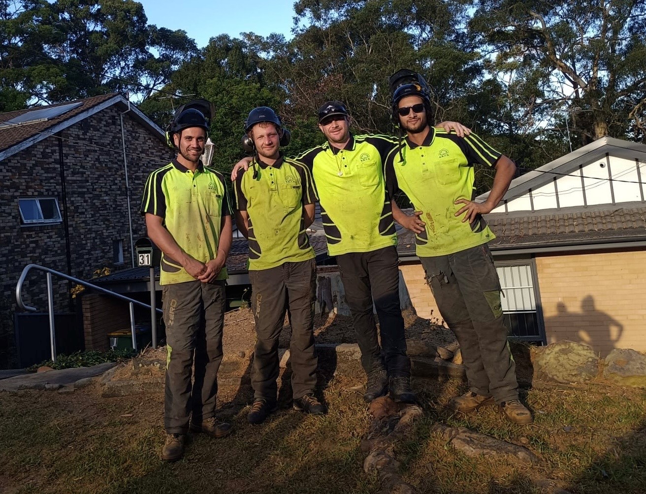 About Northern Beaches Tree Services